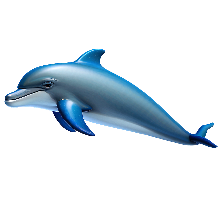 Cartoon Dolphins Png Vax69