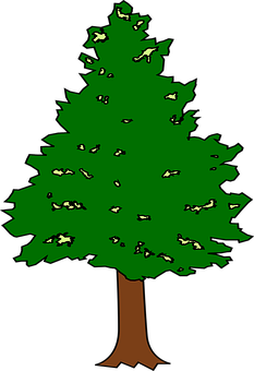 Cartoon Evergreen Tree