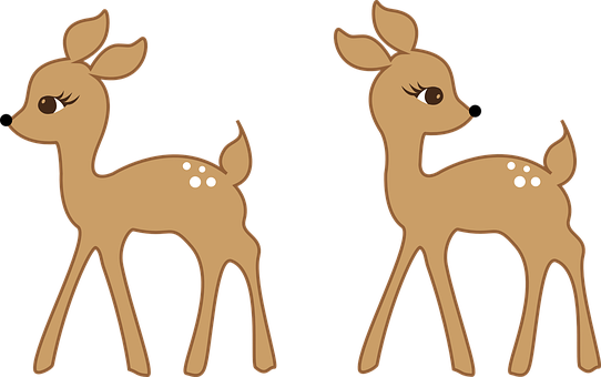 Cartoon Fawn Twins