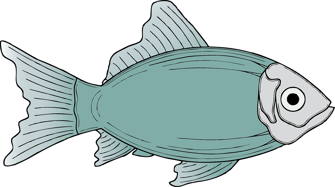 Cartoon Fish Illustration