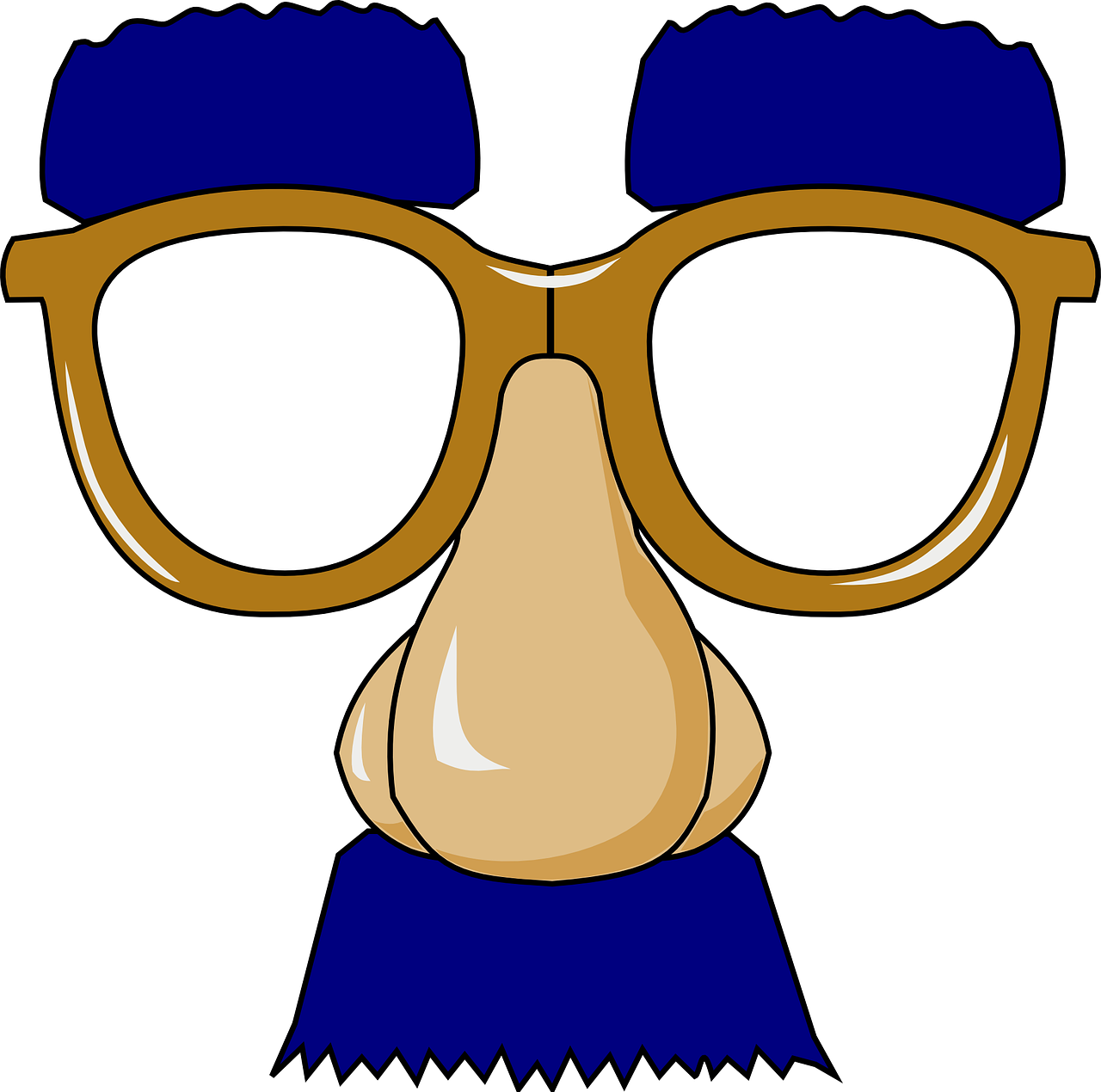 Cartoon Glassesand Nose Disguise