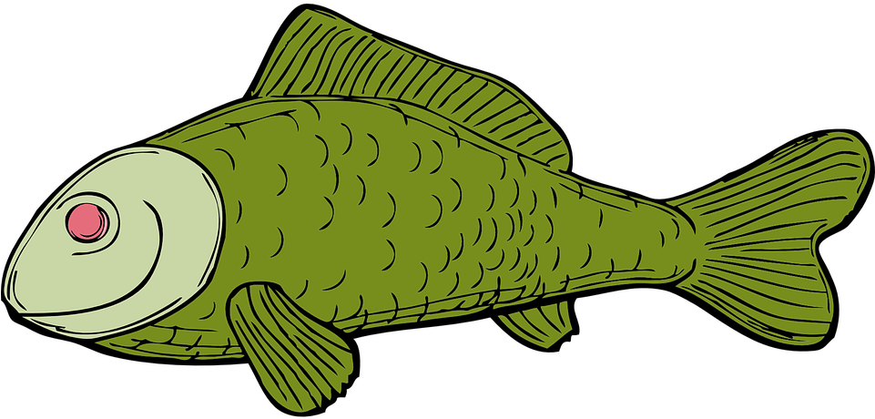 Cartoon Green Fish Illustration