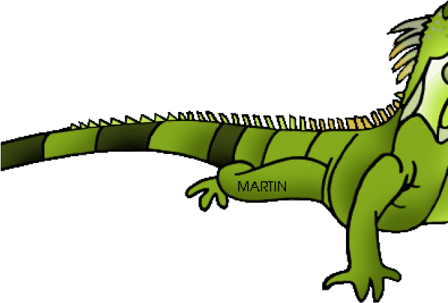 Cartoon Green Iguana