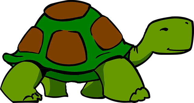 Cartoon Green Turtle Illustration