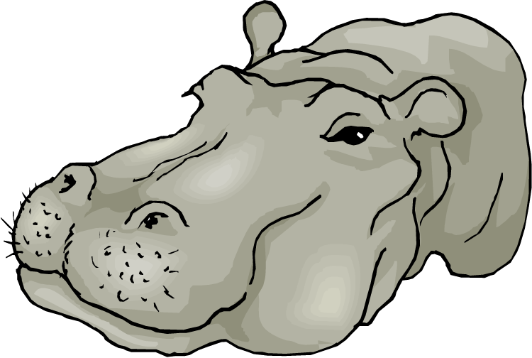 Cartoon Hippopotamus Head Illustration