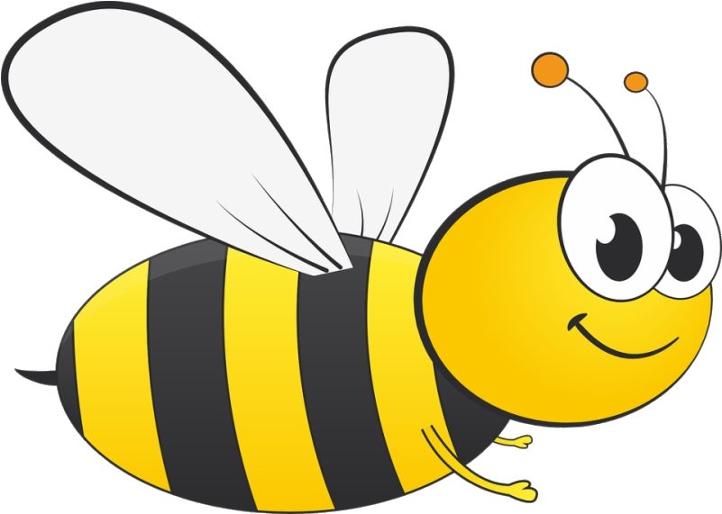 Cartoon Honey Bee Illustration