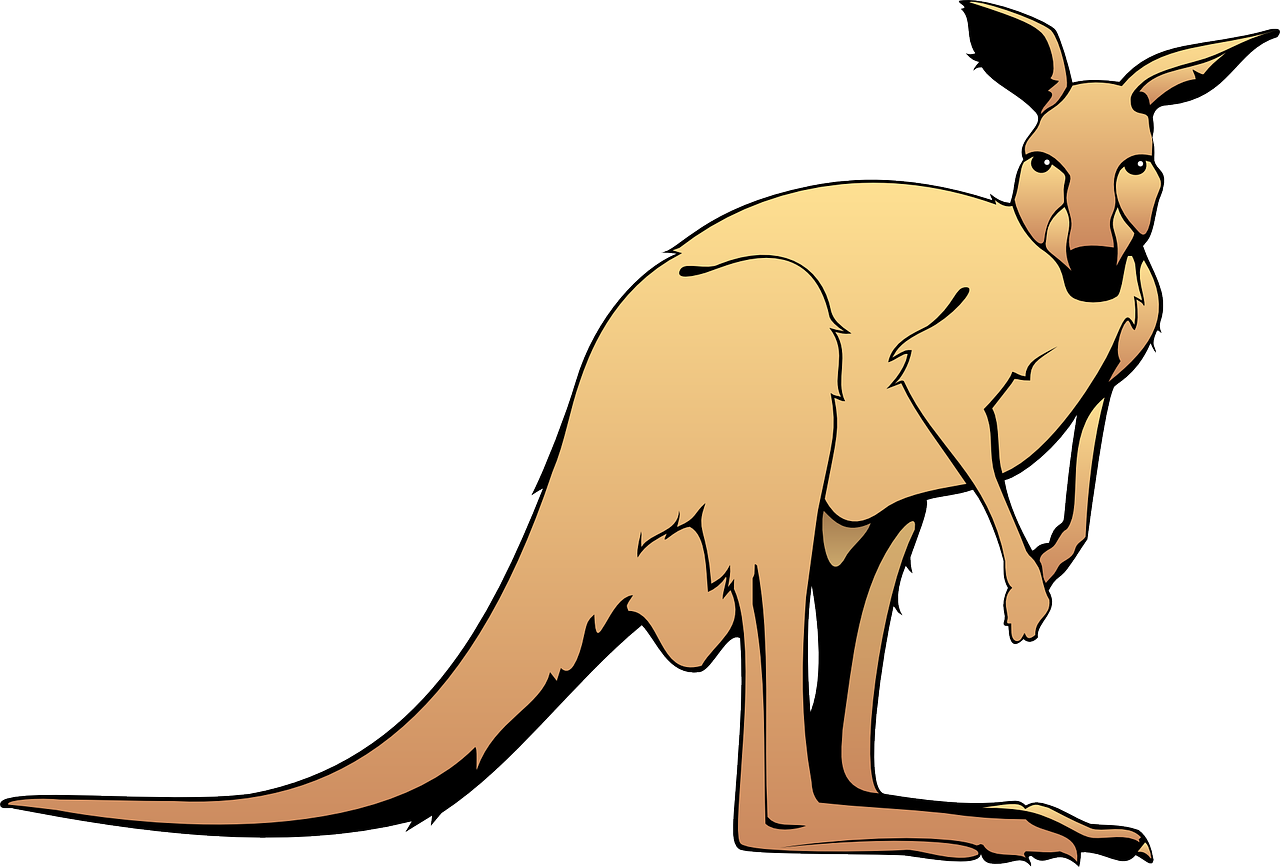 Cartoon Kangaroo Graphic