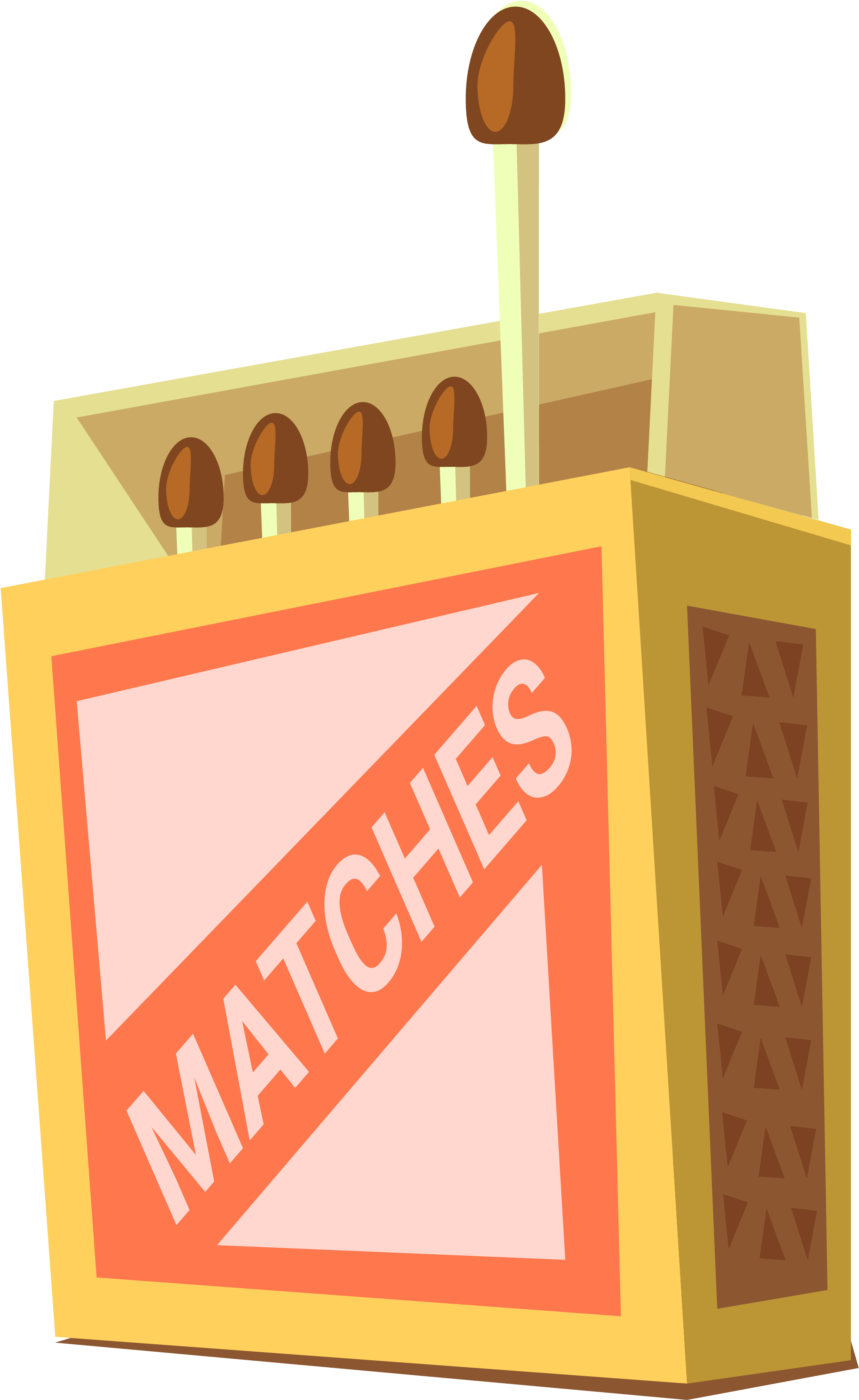 Cartoon Matchboxand Matches