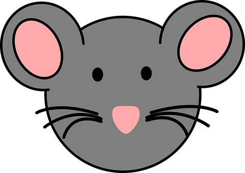 Cartoon Mouse Face Graphic