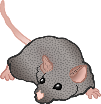 Cartoon Mouse Graphic