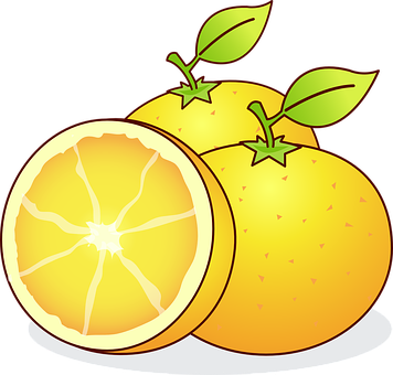 Cartoon Oranges Vector Illustration