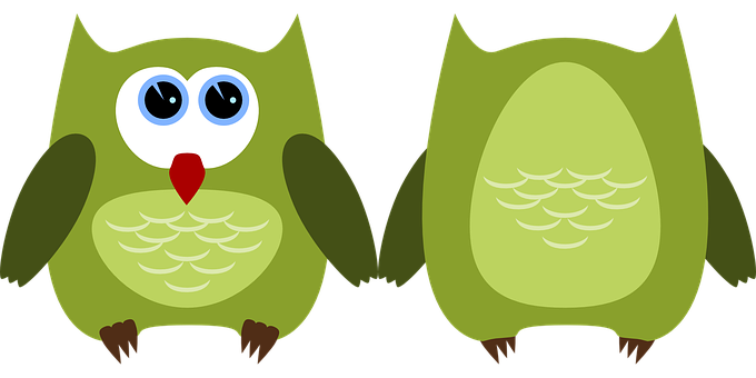 Cartoon Owls Sideby Side