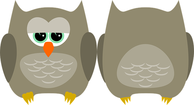 Cartoon Owls Sideby Side