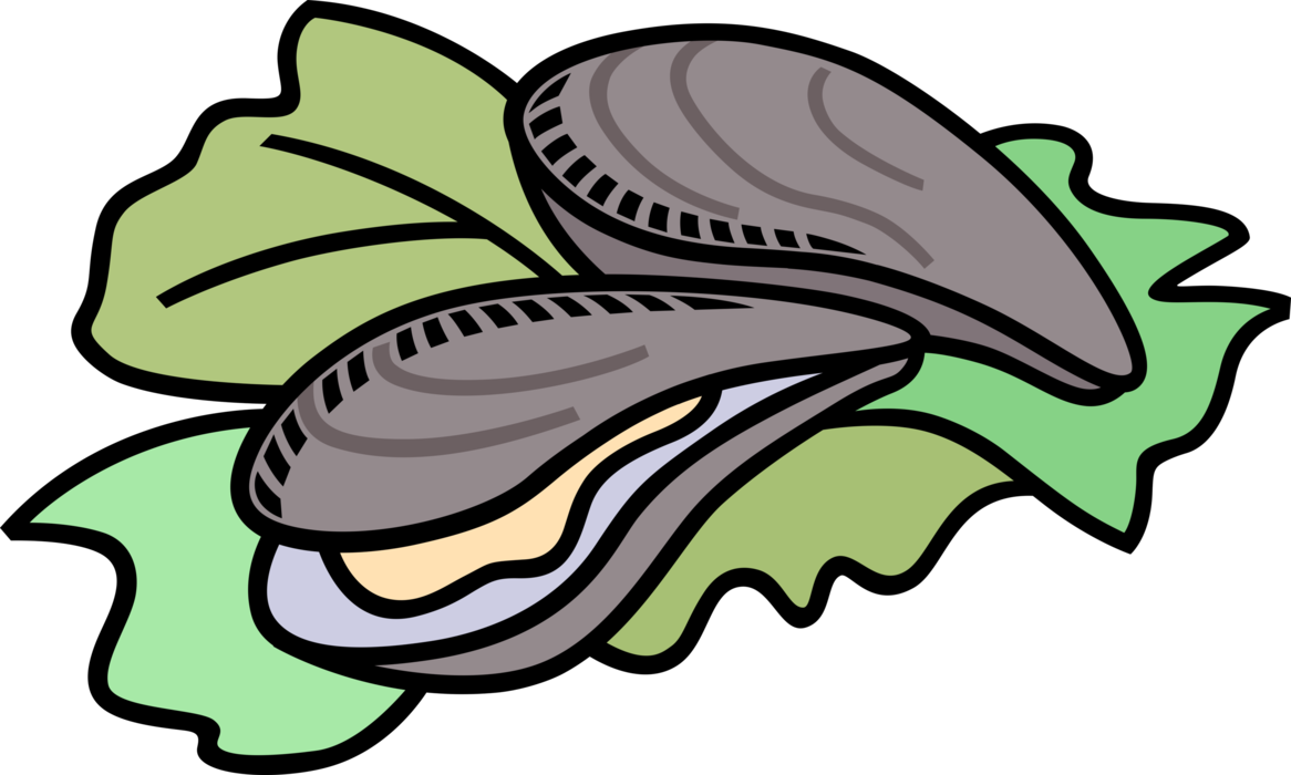 Cartoon Oyster Illustration