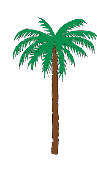 Cartoon Palm Tree Illustration