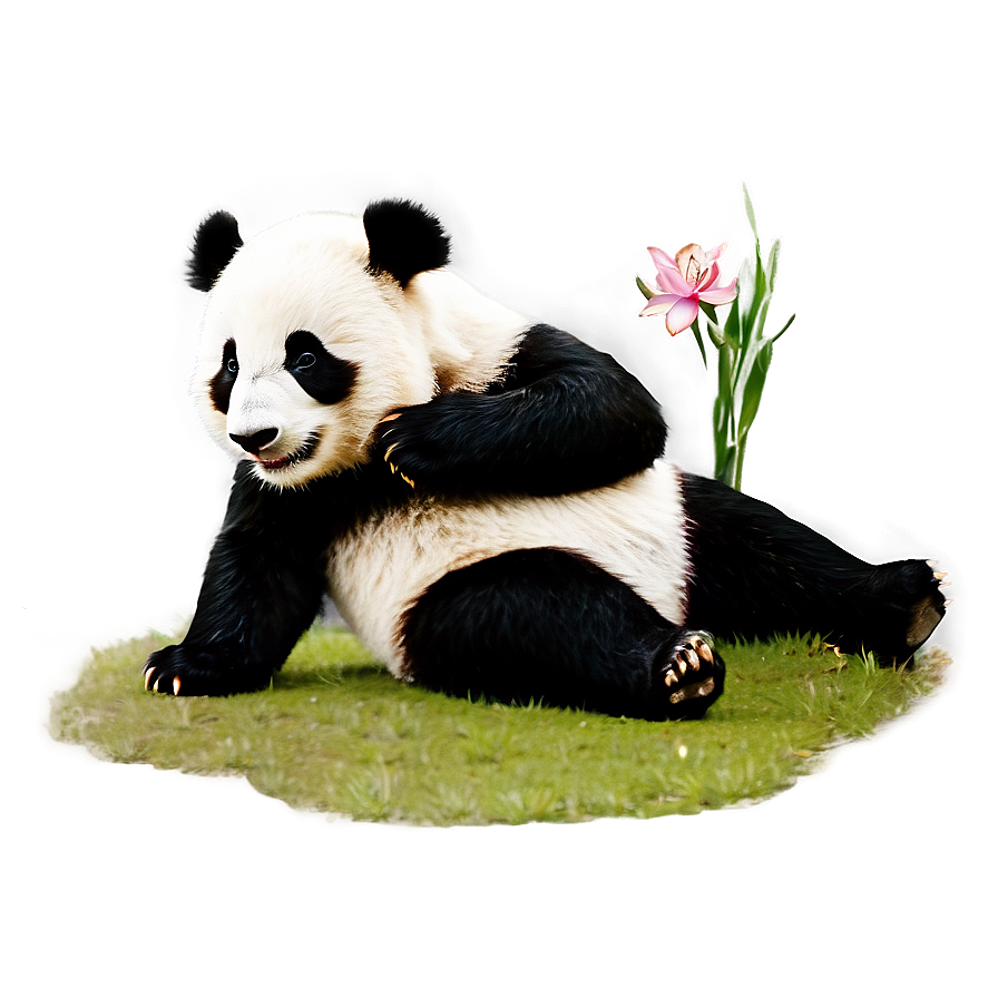 Cartoon Panda Clipart Png 05062024