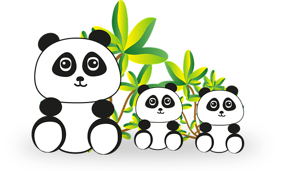 Cartoon Panda Family Illustration