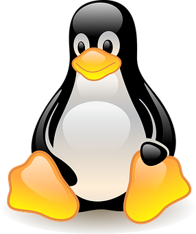 Cartoon Penguin Graphic