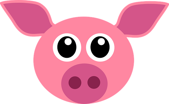 Cartoon Pig Face Graphic