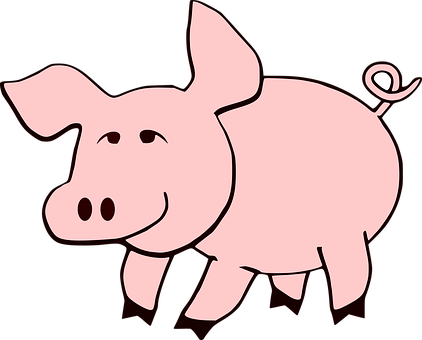 Cartoon Pig Illustration