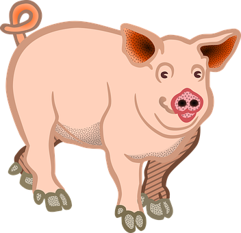 Cartoon Pig Illustration