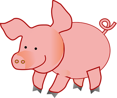 Cartoon Pig Illustration