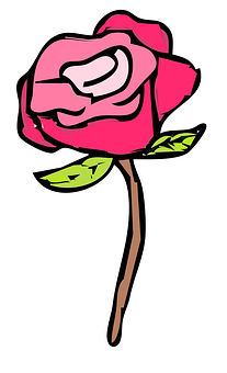 Cartoon Pink Rose Illustration