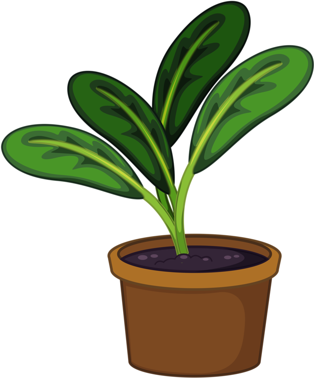 Cartoon Potted Plant Illustration