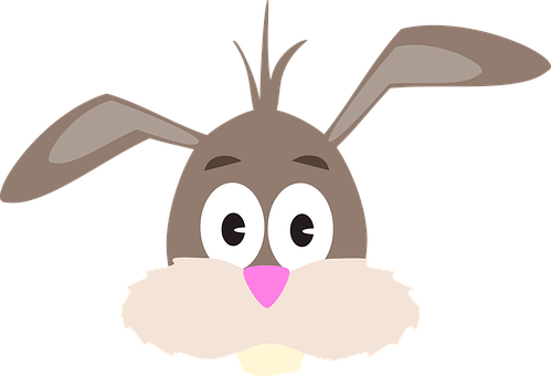 Cartoon Rabbit Face Graphic