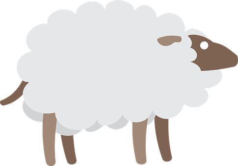 Cartoon Sheep Illustration