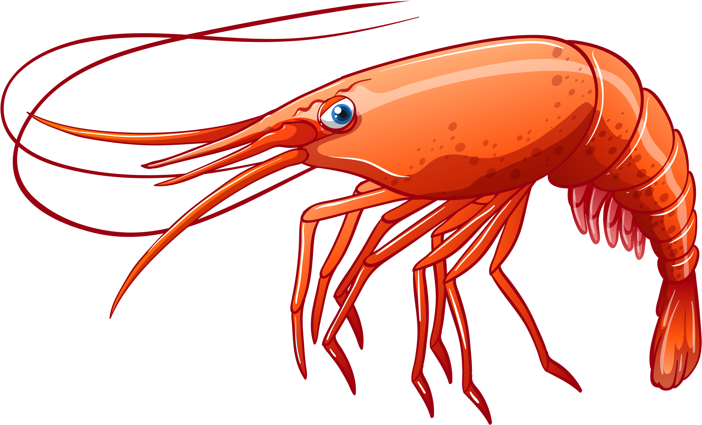 Cartoon Shrimp Illustration