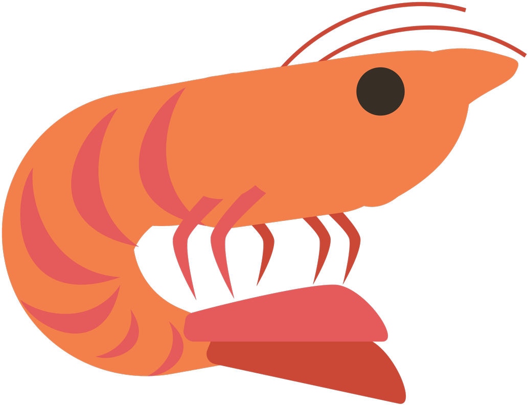 Cartoon Shrimp Illustration