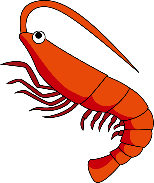 Cartoon Shrimp Illustration