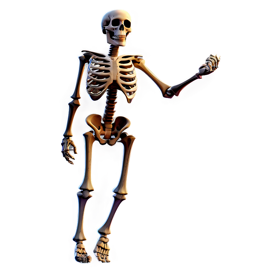 Cartoon Skeleton C