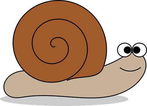 Cartoon Snail Graphic