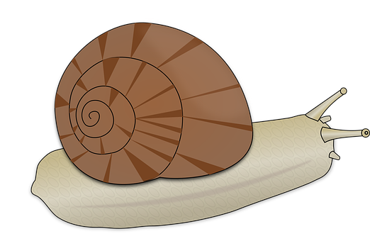 Cartoon Snail Illustration