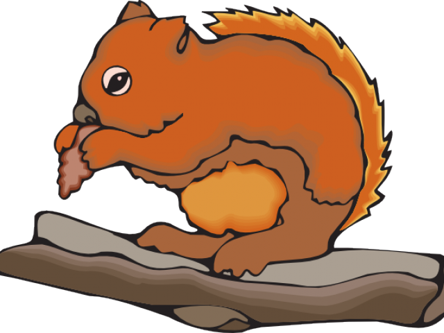 Cartoon Squirrel Eating Nuton Branch