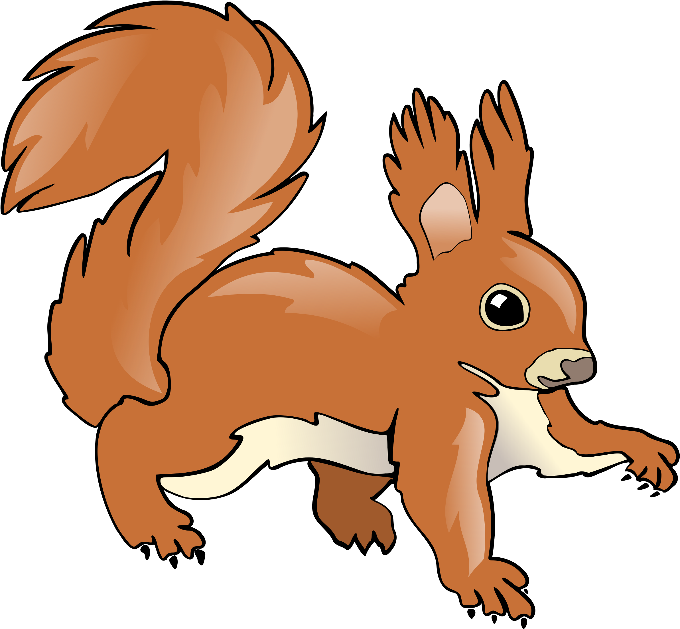 Cartoon_ Squirrel_ Illustration.png