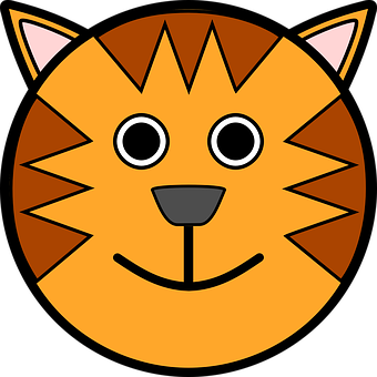 Cartoon Tiger Face Graphic