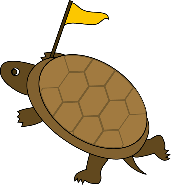 Cartoon Tortoisewith Flag