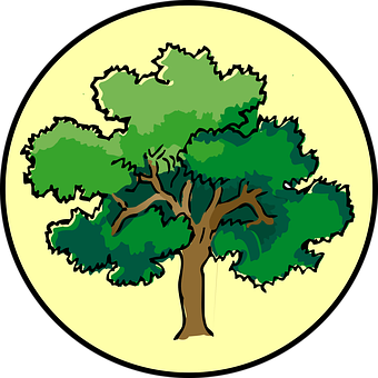 Cartoon Tree Illustration