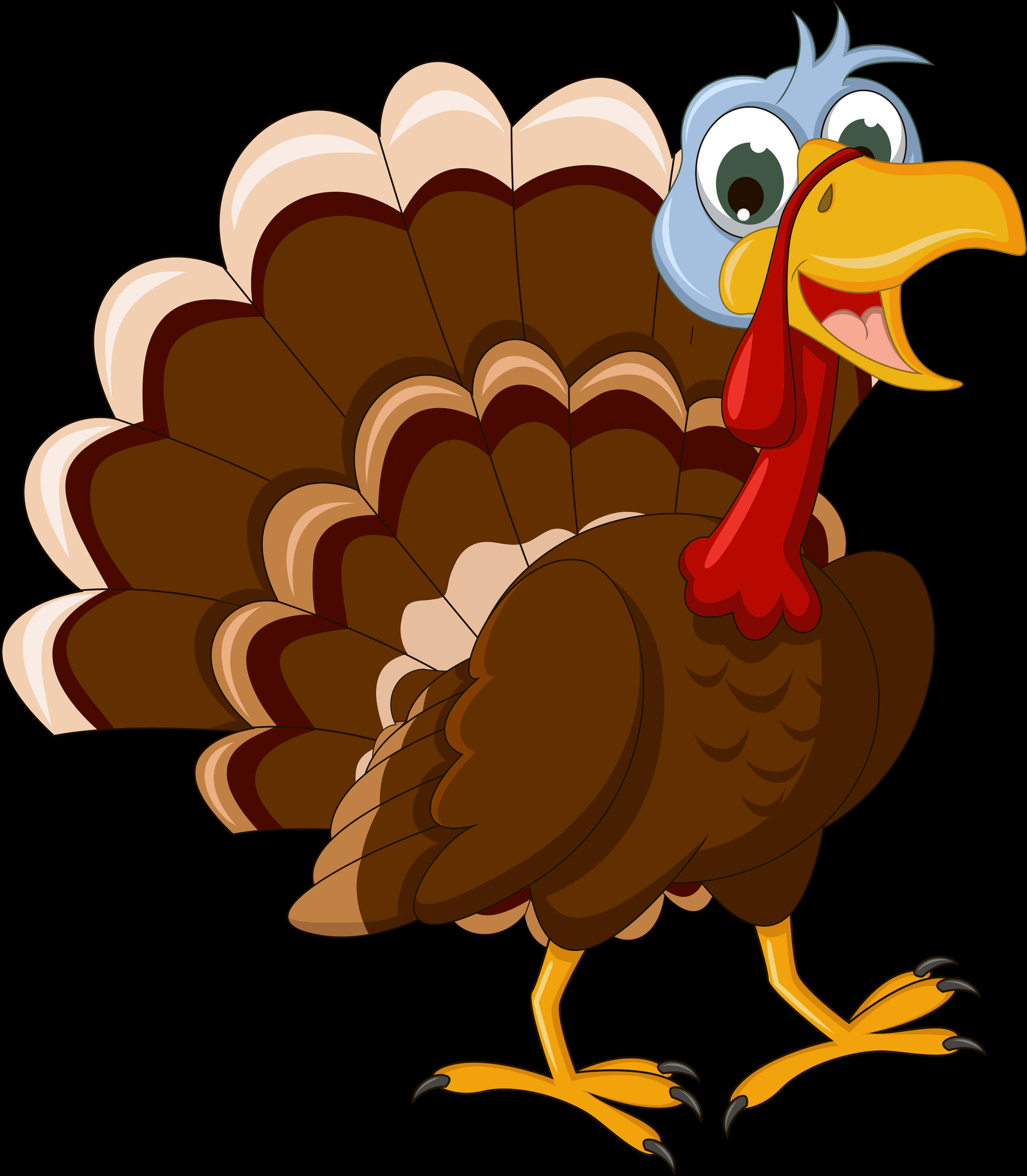 Cartoon Turkey Illustration