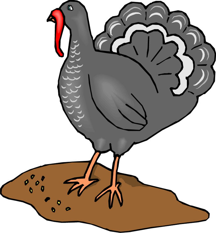 Cartoon Turkeyon Dirt Mound