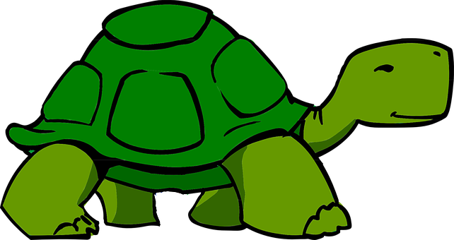 Cartoon_ Turtle_ Graphic