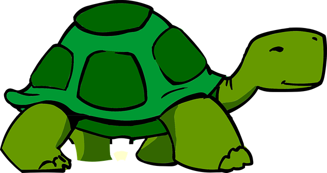 Cartoon Turtle Illustration