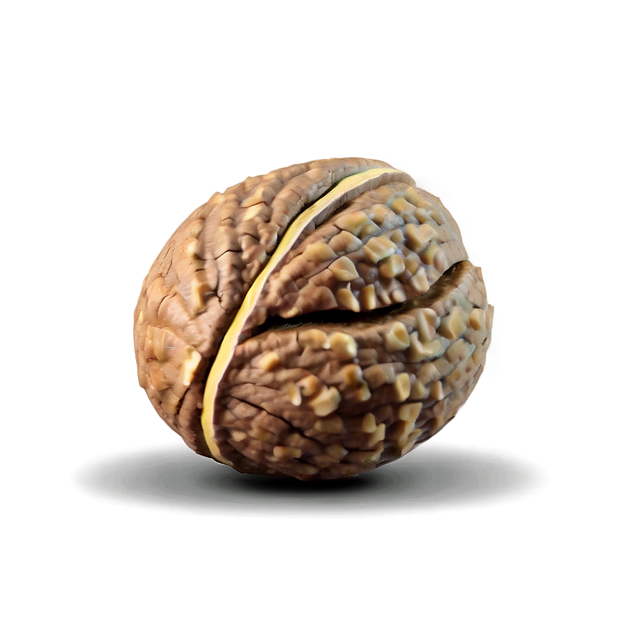 Cartoon Walnut Png 06122024