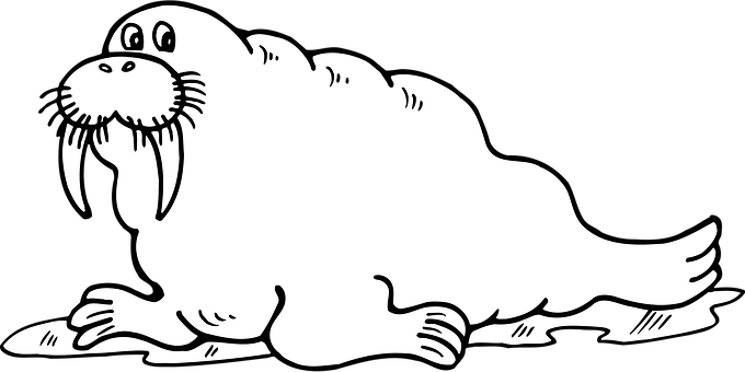 Cartoon Walrus Blackand White