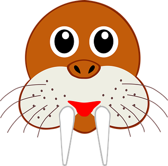 Cartoon Walrus Face Graphic