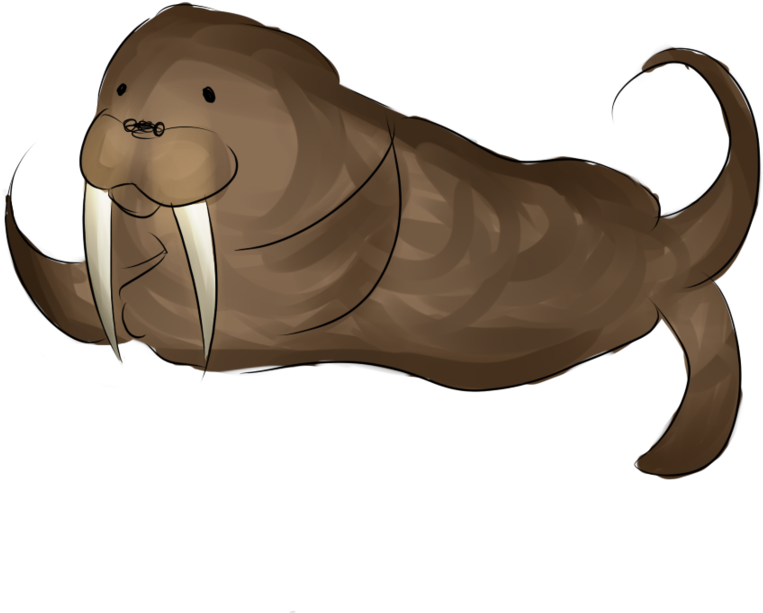 Cartoon Walrus Illustration