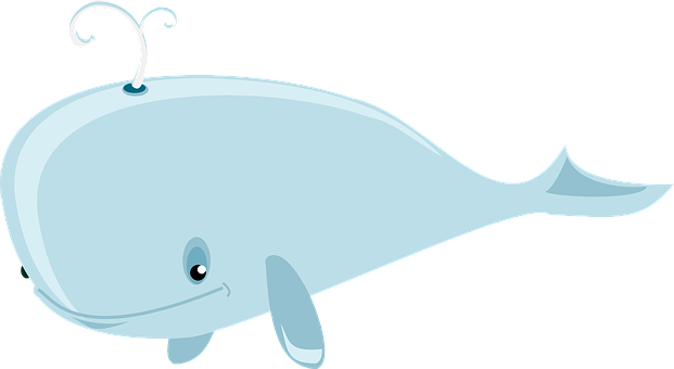 Cartoon Whale Illustration